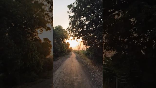 New Delhi railway line of Adivasi colony 🥰 #sunset #viral #trending #motivation #anime смотреть онлайн