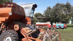 Жныва 2020. Цена на зерно. Комбайн Нива