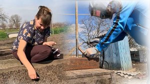 Посеяли, посадили и истязали землю)