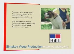 Созвездие Hill's поэма