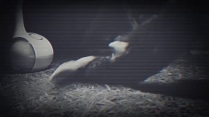 оно здесь (трейлер)