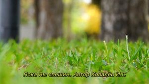 Пока мы спешим. Хорошая песня о жизни. Душевный шансон. Автор: Ковалёв И.С #шансон #песня #ожизни