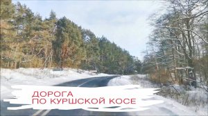 Дорога по Куршской косе