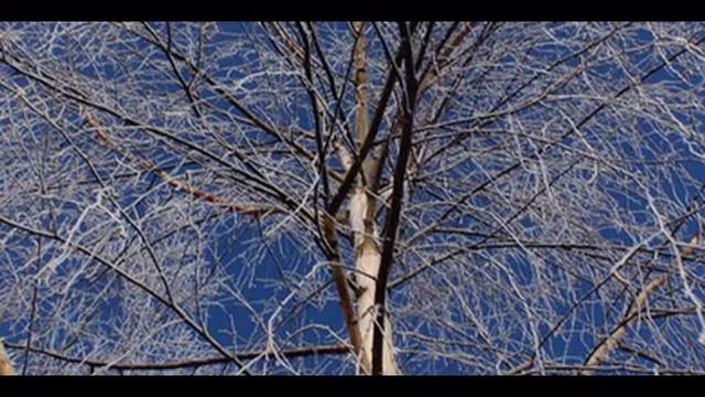 Евгений Дога Зимний вальс! Фото Татьяны Соловьёвой! смотреть онлайн