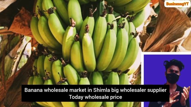 🍌banana mandi rate today🍌||banana wholesale market || смотреть онлайн