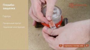 Пломба защелка Гарпун, для водосчетчиков, сейфов