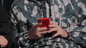 В МВД предупредили о сроках до 10 лет за сдачу в аренду аккаунтов в WhatsApp*