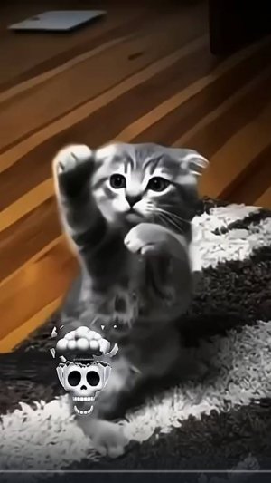 Кот кунг-фу💀 #короткоевидео #кот #кунг-фу