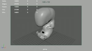 Таймлапс развития эмбриона в утробе матери