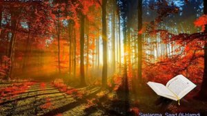 091. Сура Аш-Шамс
Прекрасное чтение Корана 
Чтец: Саадом Аль Гамиди