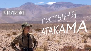 Путешествие по Чили. Часть №1. Пустыня Атакама.