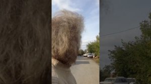 Человеку поставили бустер (вольтодобавочный трансформатор) по телеграмме Путину