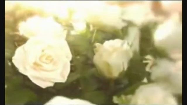 mirra_sarapul.wmv смотреть онлайн