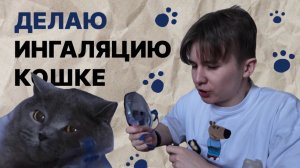 Делаю ингаляцию кошке