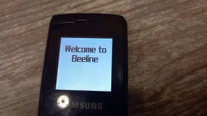 Samsung SGH-B100 - Аккумулятор разряжен