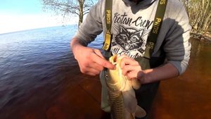 Пошёл на карася,а наловил крупных САЗАНОВ