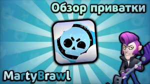 Обзор на Приватку Marty Brawl. Имба или нет?