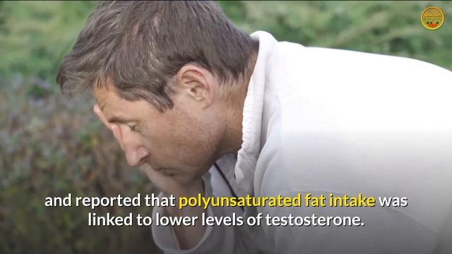 8 WORST Testosterone Killer Foods (MEN: AVOID THESE AT ALL COSTS!!!) смотреть онлайн