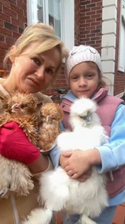 Курочки переезжают на летнюю квартиру