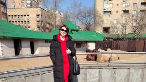 Кто хочет пообщаться?