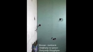 Лайфхак. Глобальная переделка ванной