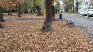 Вылазка в комсомольский сквер