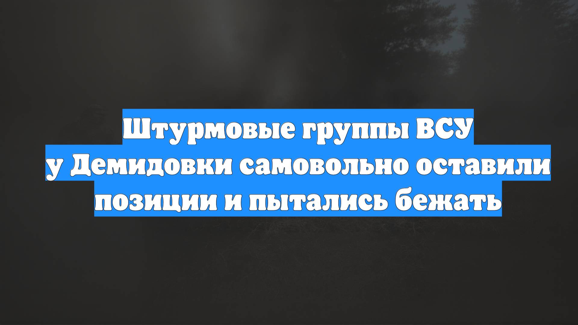 Штурмовые группы ВСУ у Демидовки самовольно оставили позиции и пытались бежать