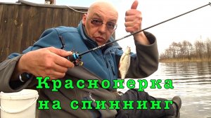 Весенняя красноперка на спиннинг.
