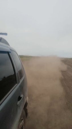куда я так резво еду?