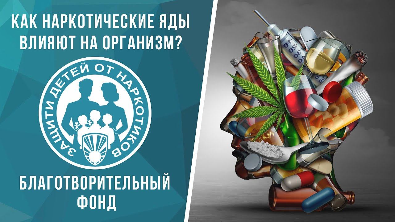 Как наркотические яды влияют на организм?
