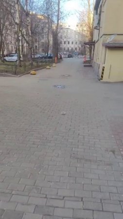 ВоР БАКЛАН!!!)))