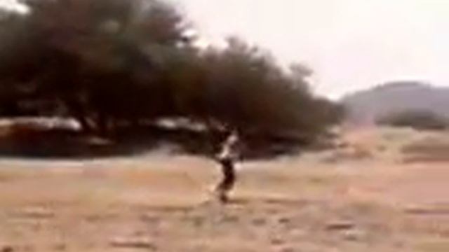 ЛЕТАЮЩИЙ МОНСТР смотреть онлайн