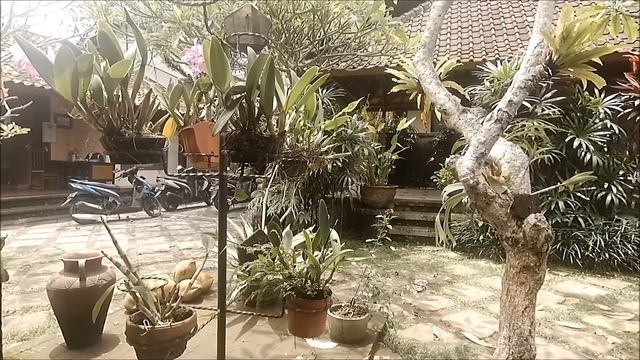 Bali -7.Bolüm/Ubud (Endonezya 2017) [Yi 2 4K]