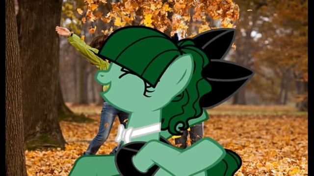 ПОНИ КЛИП КАНИКУЛЫ