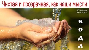 Вода – это источник жизни, и она должна быть чистой и прозрачной, как наши мысли или КОТоБудни