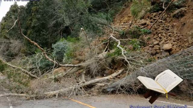 099. Сура Аз-Зальзала
Прекрасное чтение Корана Чтец: Саадом Аль Гамиди смотреть онлайн