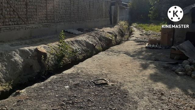 срочно ер сотилади 1100 $ дан АСАКАДА пул зарил смотреть онлайн