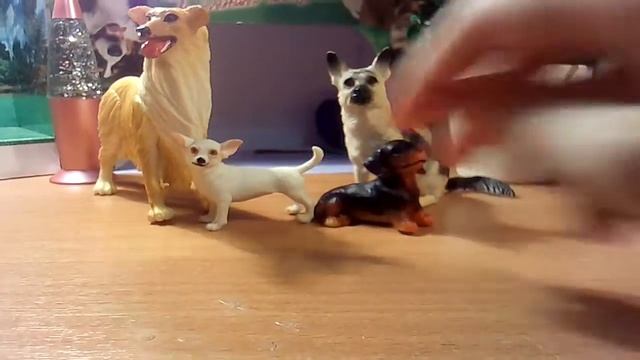 Коллекция собак
