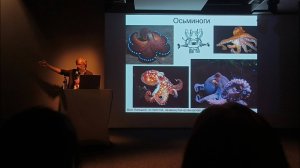 Дробышевский С.В. про "разумность" осьминогов...
