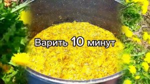 Мёд из одуванчиков