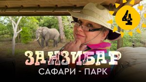 Занзибар. Прилетели в сафари-парк на самолёте. Львы, слоны, жирафы...