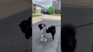 Прекрасная Ясмина в поисках дома❤️