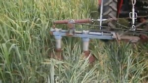 покос суданки самодельной роторной косилкой