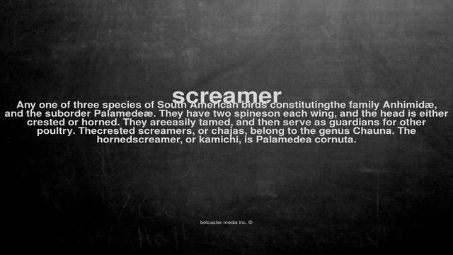 What does screamer mean смотреть онлайн