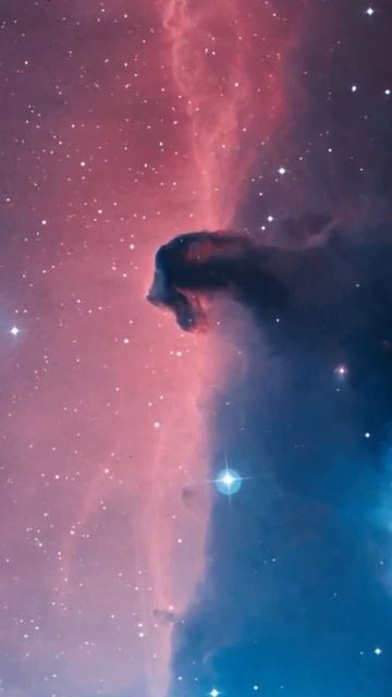 Let's Dive into the HorseheadNebula #rizwanayubsaadi #nebula #horsehead #universe #astronomy #spac смотреть онлайн