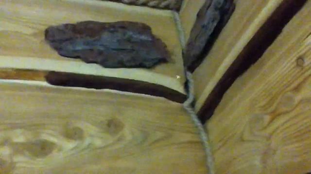 Буковель День 1 (11.03.2011)_8 смотреть онлайн