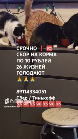 ПОМОЩЬ ПРИДИ 🙏🆘