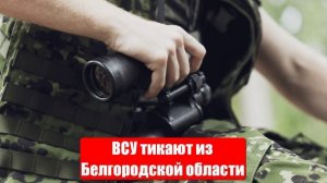 Украинский фронт. ВСУ тикают из Белгородской области. Война на Украине