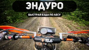 Быстрая езда по лесу на эндуро!