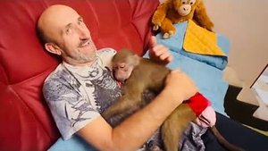 Люська ВЫРВАЛАСЬ на СВОБОДУ и просит Влада не садить ее в вольер)))
